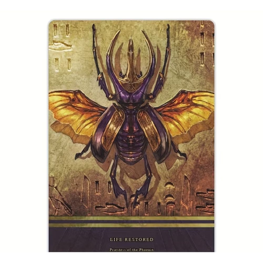ASET Oracle - Image 3
